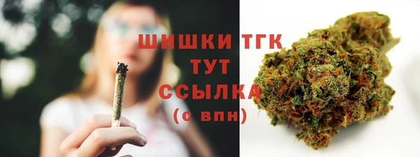 spice Арсеньев