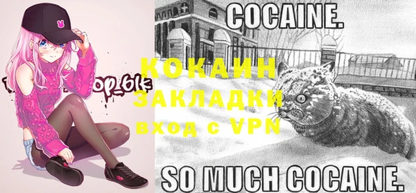 спайс Аркадак