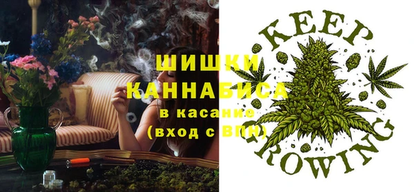spice Арсеньев