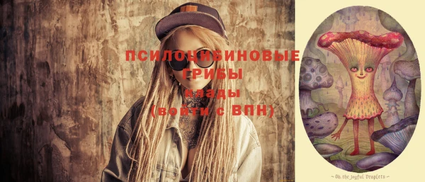spice Арсеньев
