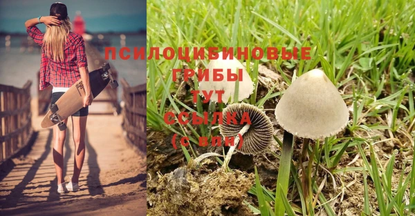 спайс Аркадак
