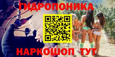 кокс Ачхой-Мартан