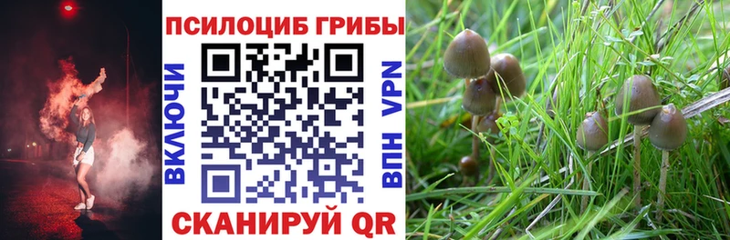 Псилоцибиновые грибы MAGIC MUSHROOMS  Ахтубинск 