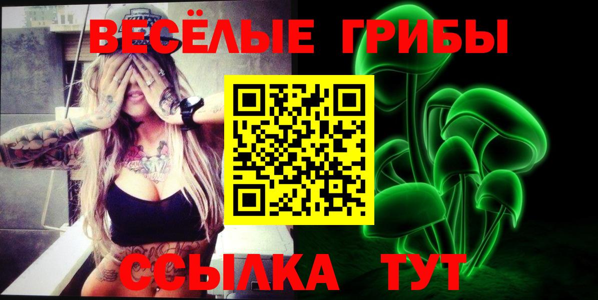 Ахтубинск  Псилоцибиновые грибы Psilocybe  Вход с VPN 