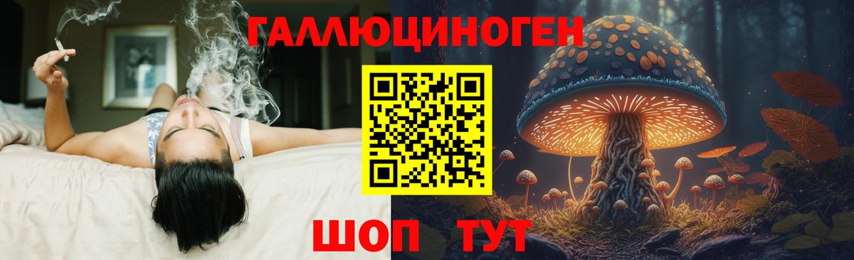 Псилоцибиновые грибы мухоморы Ахтубинск