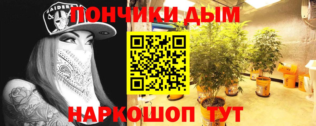 Каннабис конопля  Вход с VPN  Ахтубинск  Каннабис VHQ  Канабис тримм  Бошки марихуана THC 21% 